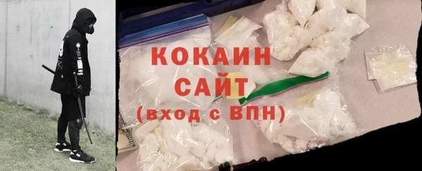 гидра Богданович