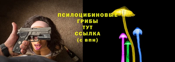 дмт Богородск
