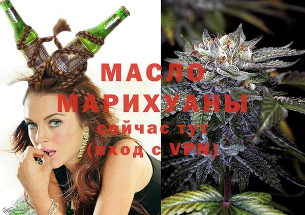 гидра Богданович