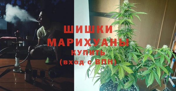 дмт Богородск