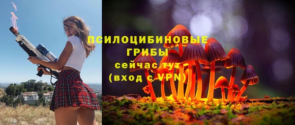 дмт Богородск