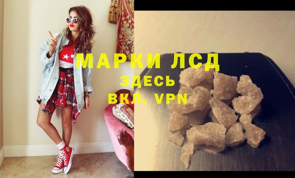 гидра Богданович