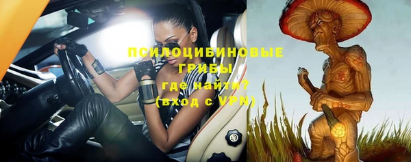 эйфоретик Богородицк